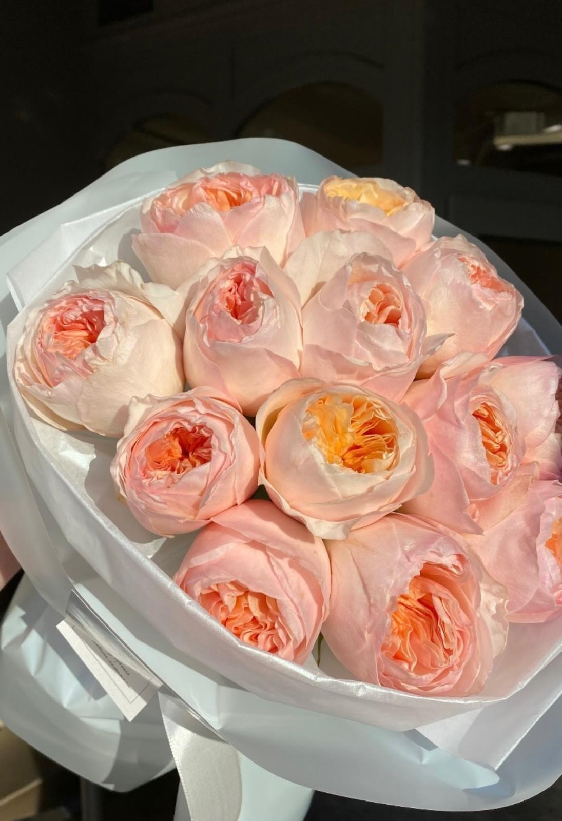 Peach Roses